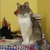 Отзыв от Наталья Суслова